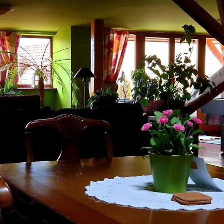 コシツェLuxury Oldtown Loft 320M2 On Hlavna Streetアパートメント エクステリア 写真